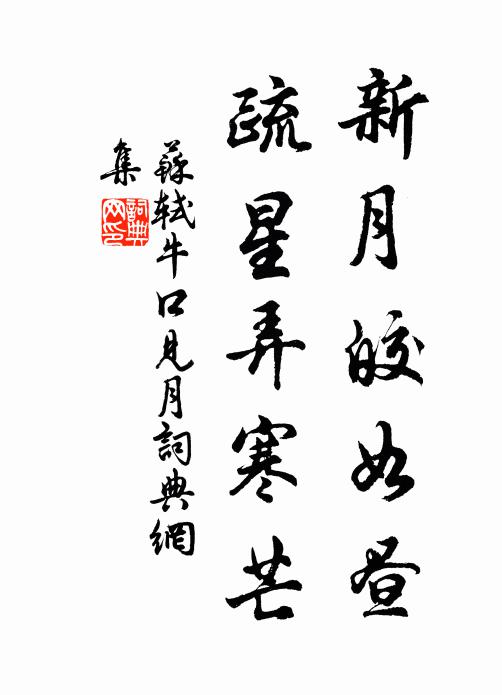 苏轼新月皎如昼，疏星弄寒芒书法作品欣赏