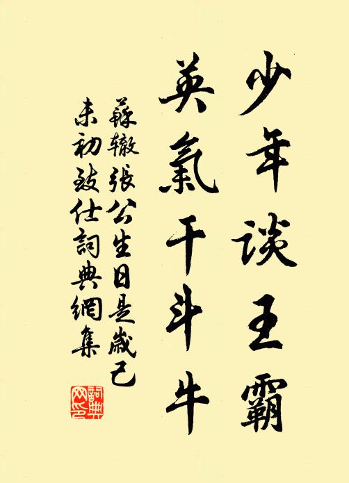 苏辙少年谈王霸，英气干斗牛书法作品欣赏