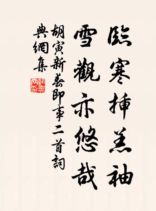 胡寅临寒插羔袖，雪观亦悠哉书法作品欣赏