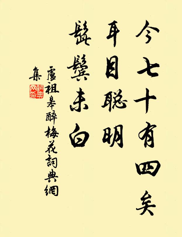 卢祖皋今七十有四矣，耳目聪明，髭鬓未白书法作品欣赏