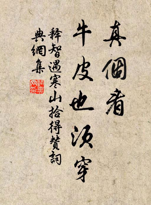 释智遇真个看，牛皮也须穿书法作品欣赏