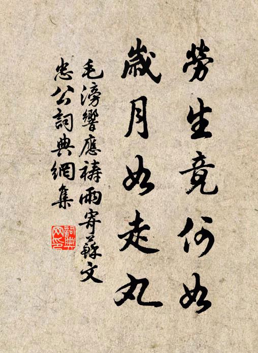 毛滂劳生竟何如，岁月如走丸书法作品欣赏