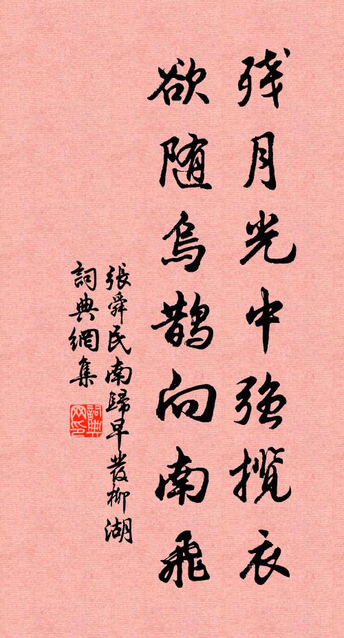 张舜民残月光中强揽衣，欲随乌鹊向南飞书法作品欣赏
