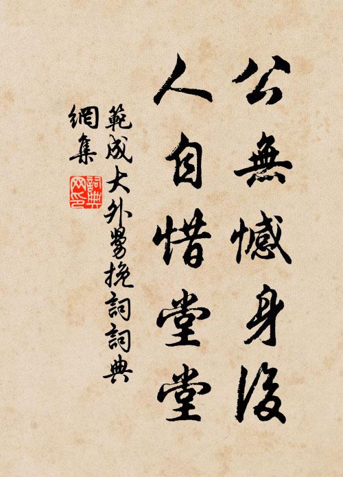 范成大公无憾身后，人自惜堂堂书法作品欣赏