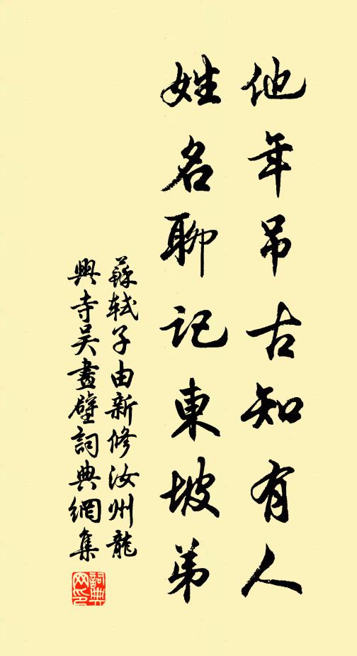 苏轼他年吊古知有人，姓名聊记东坡弟书法作品欣赏