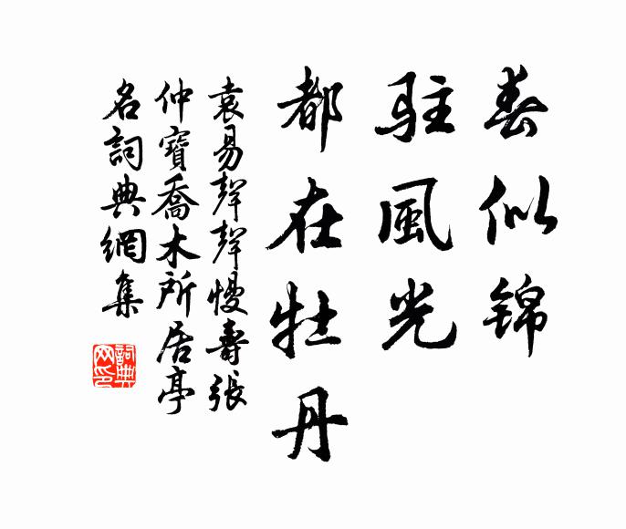 袁易春似锦，驻风光、都在牡丹书法作品欣赏