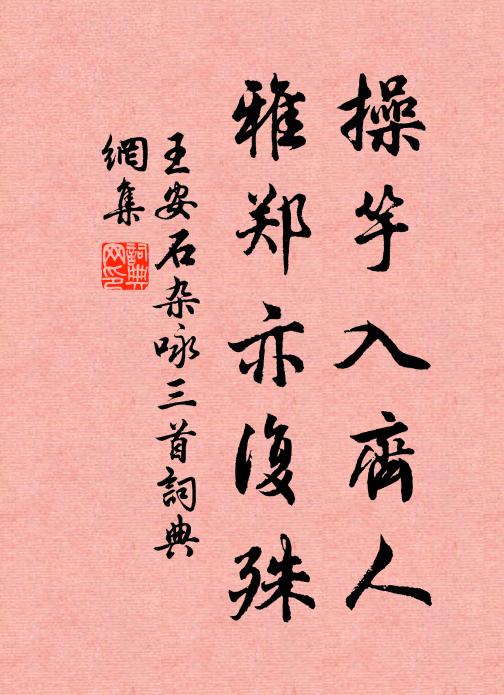 王安石操竽入齐人,雅郑亦复殊书法作品欣赏