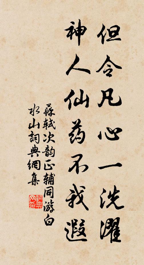 苏轼但令凡心一洗濯，神人仙药不我遐书法作品欣赏