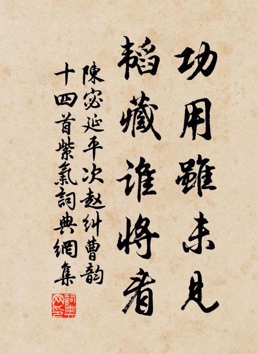 陈宓功用虽未见，韬藏谁将看书法作品欣赏