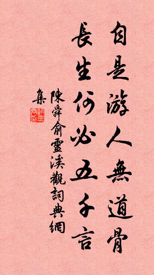 陈舜俞自是游人无道骨，长生何必五千言书法作品欣赏