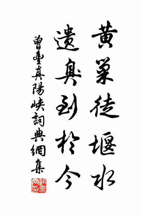 曾丰黄巢徒堰水，遗臭到于今书法作品欣赏