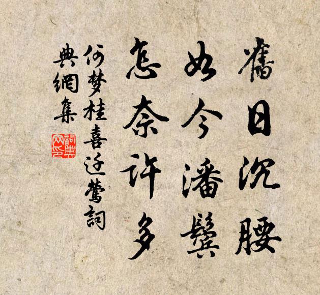 何梦桂旧日沉腰，如今潘鬓，怎奈许多﹀︽书法作品欣赏