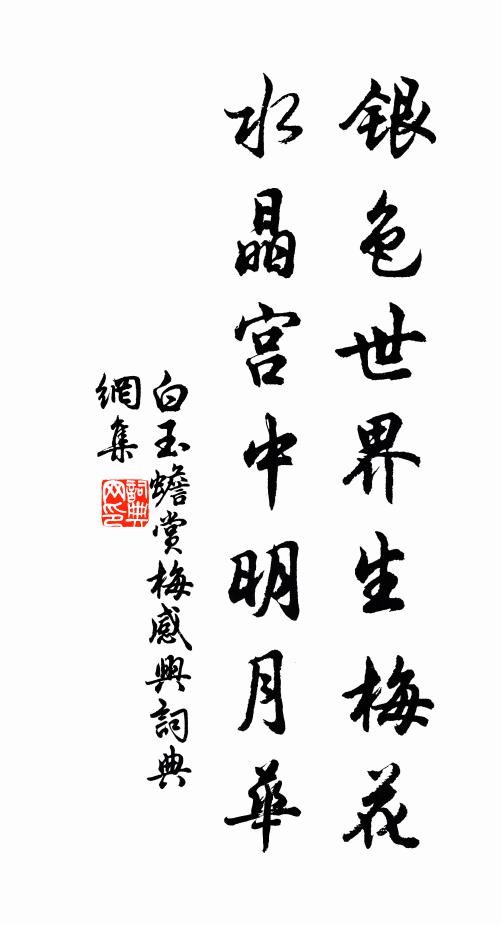 白玉蟾银色世界生梅花，水晶宫中明月华书法作品欣赏
