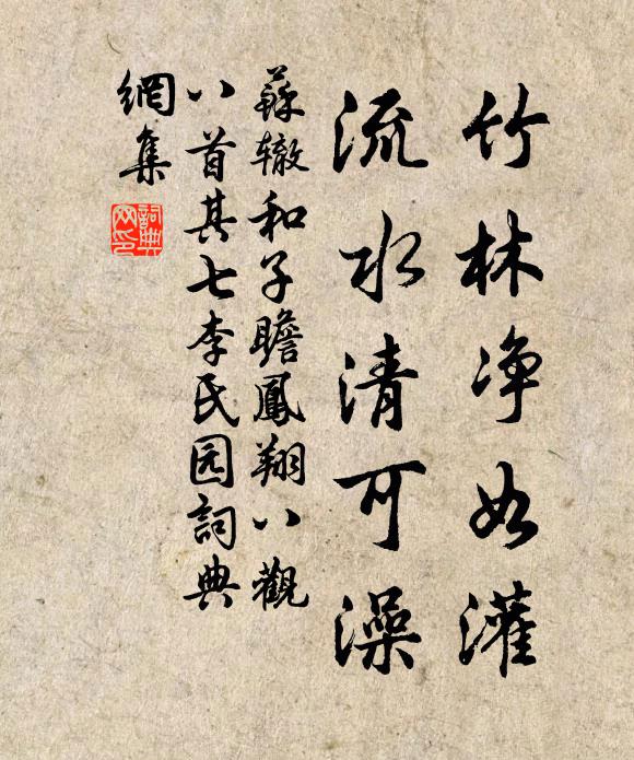 苏辙竹林净如灌,流水清可澡书法作品欣赏