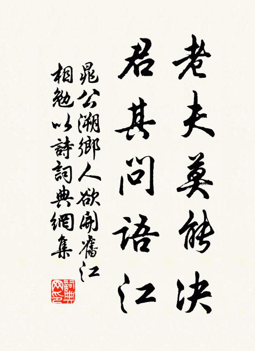 晁公溯老夫莫能决，君其问语江书法作品欣赏