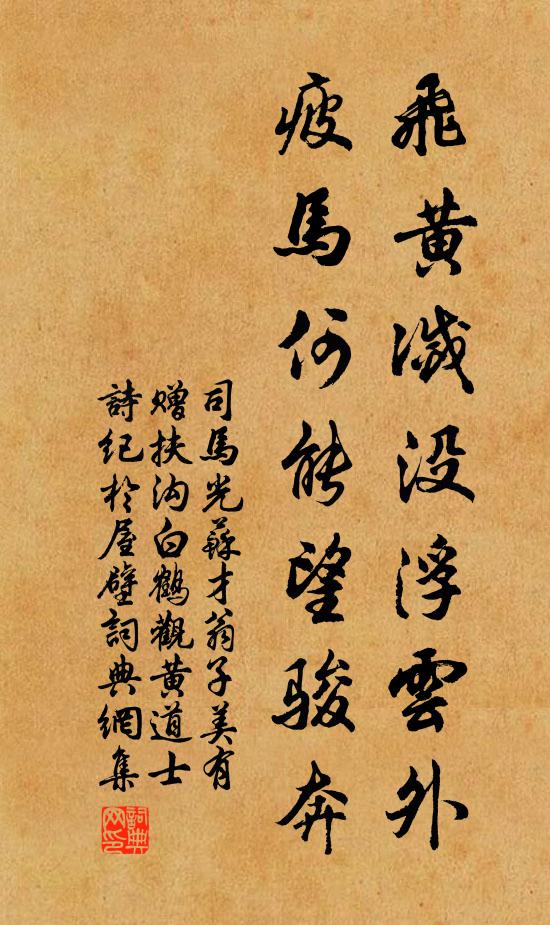 司马光飞黄灭没浮云外，疲马何能望骏奔书法作品欣赏