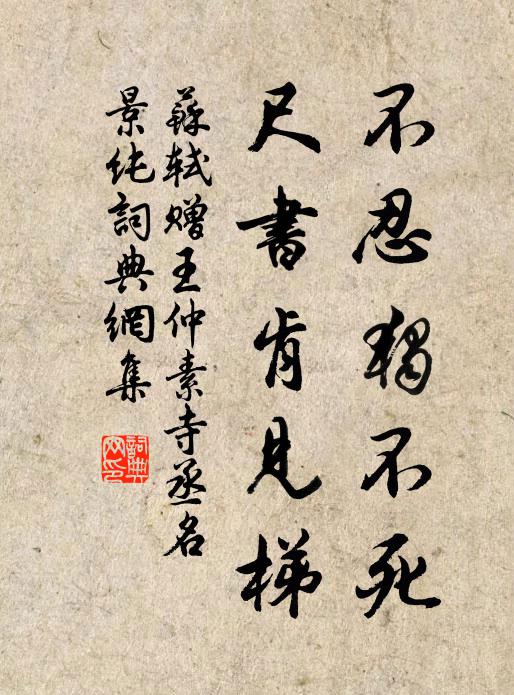 苏轼不忍独不死，尺书肯见梯书法作品欣赏