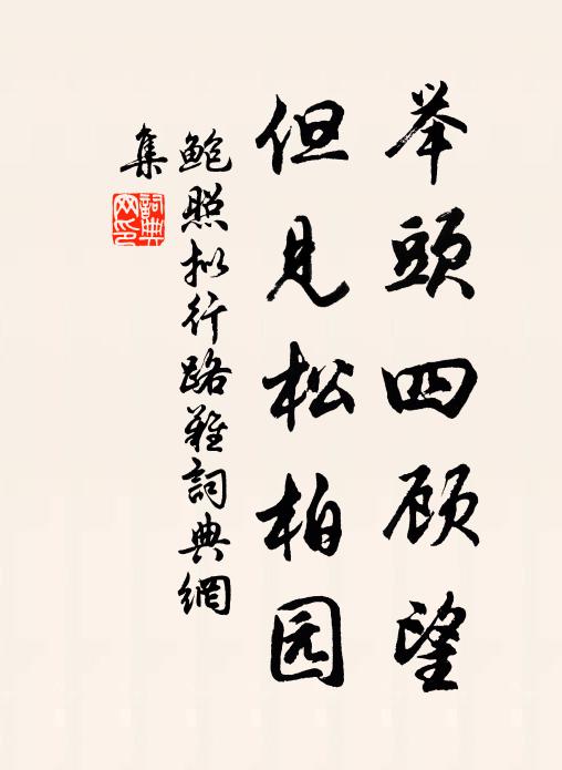 鲍照举头四顾望，但见松柏园书法作品欣赏