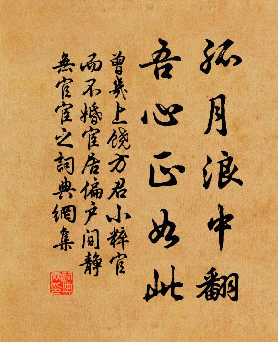 曾几孤月浪中翻，吾心正如此书法作品欣赏