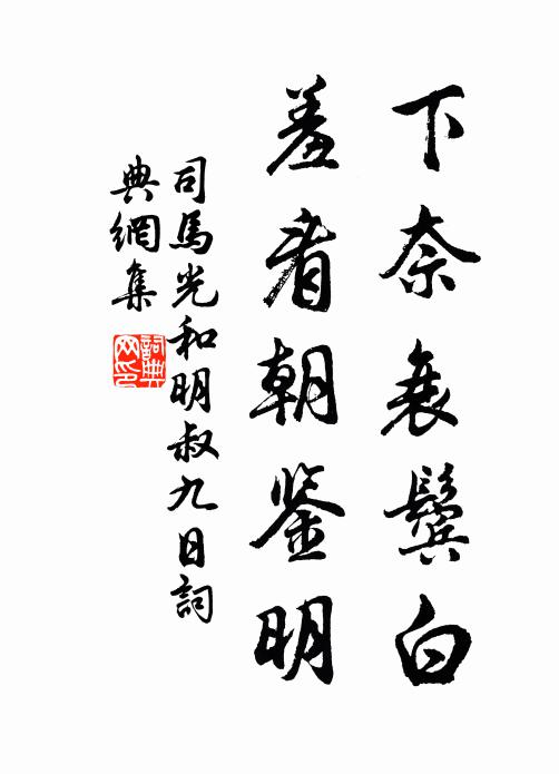 司马光下奈衰鬓白，羞看朝鉴明书法作品欣赏