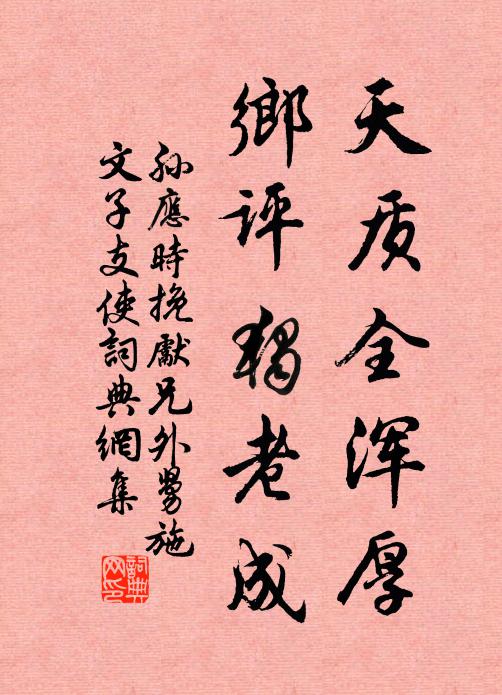 孙应时天质全浑厚，乡评独老成书法作品欣赏