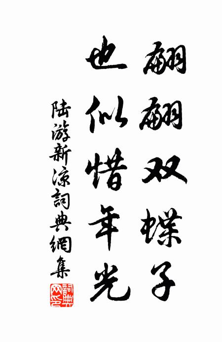 陆游翩翩双蝶子，也似惜年光书法作品欣赏