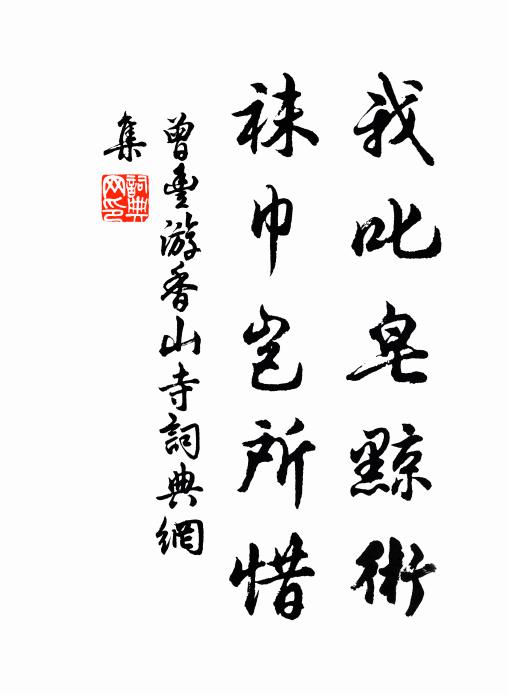 曾丰我叱皂黥术,袜巾岂所惜书法作品欣赏