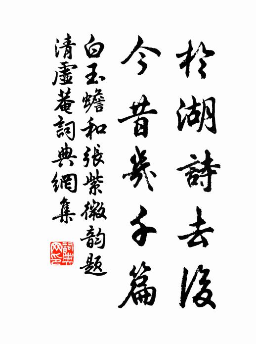 白玉蟾于湖诗去后，今昔几千篇书法作品欣赏
