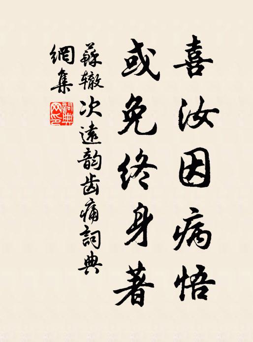 苏辙喜汝因病悟，或免终身著书法作品欣赏