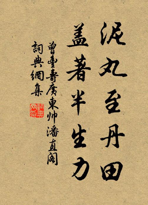 曾丰泥丸至丹田,盖著半生力书法作品欣赏