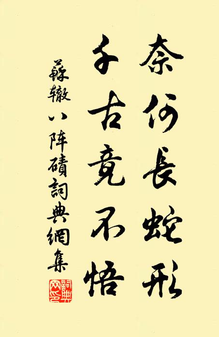苏辙奈何长蛇形，千古竟不悟书法作品欣赏