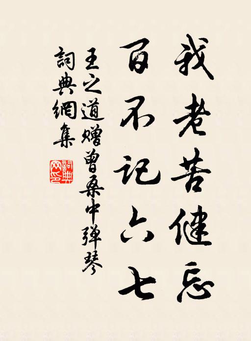 王之道我老苦健忘,百不记六七书法作品欣赏