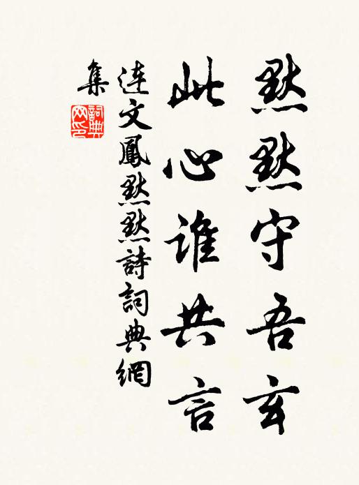 连文凤默默守吾玄，此心谁共言书法作品欣赏