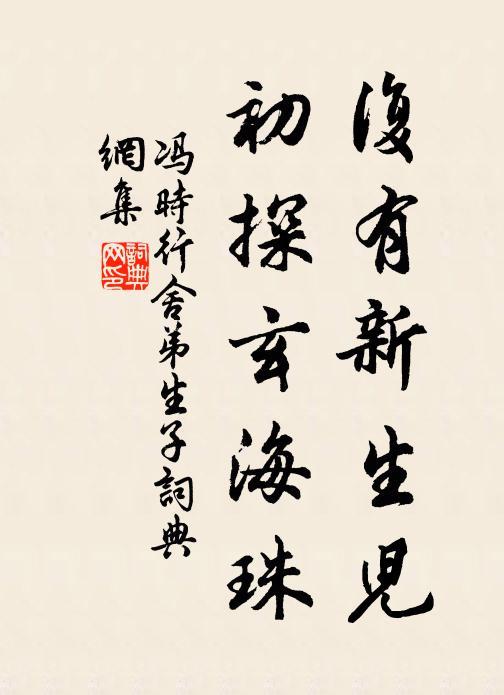 冯时行复有新生儿，初探玄海珠书法作品欣赏