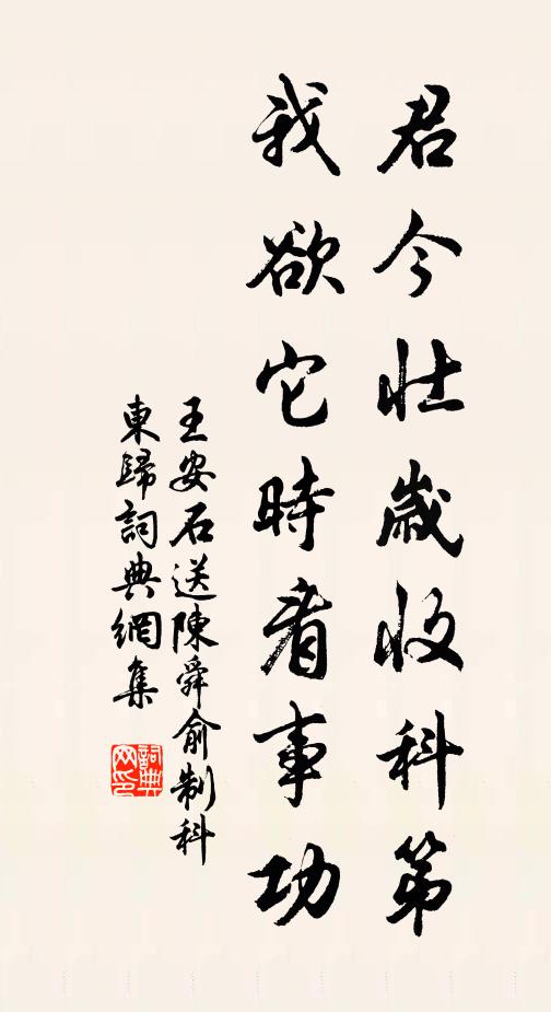 王安石君今壮岁收科第，我欲它时看事功书法作品欣赏