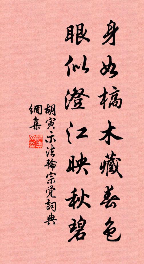 胡寅身如槁木藏春色，眼似澄江映秋碧书法作品欣赏