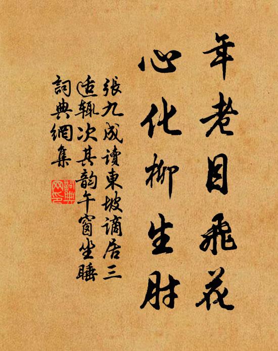 张九成年老目飞花，心化柳生肘书法作品欣赏