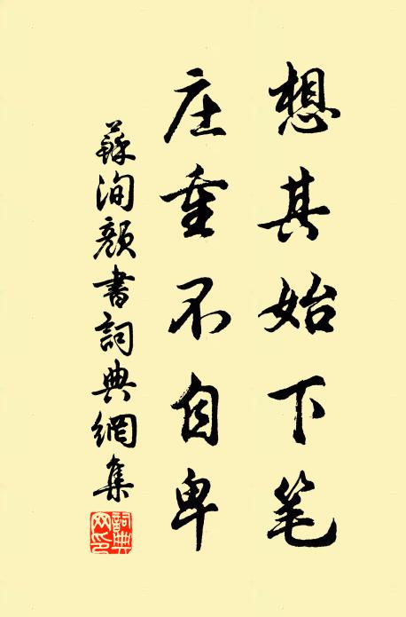 苏洵想其始下笔,庄重不自卑书法作品欣赏