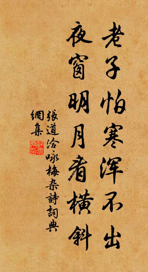 张道洽老子怕寒浑不出，夜窗明月看横斜书法作品欣赏
