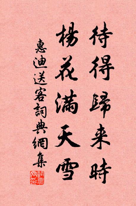 惠迪待得归来时，杨花满天雪书法作品欣赏