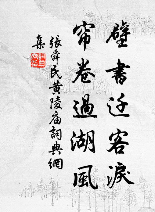 张舜民壁书迁客泪，帘卷过湖风书法作品欣赏
