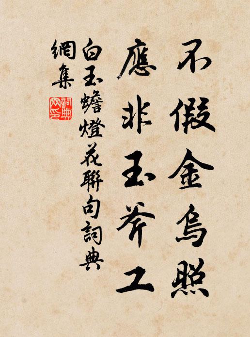 白玉蟾不假金乌照，应非玉斧工书法作品欣赏