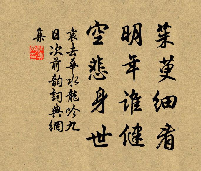 袁去华茱萸细看，明年谁健，空悲身世书法作品欣赏