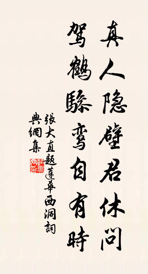 张大直真人隐壁君休问，驾鹤骖鸾自有时书法作品欣赏