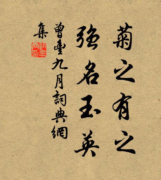 曾丰菊之有之，强名玉英书法作品欣赏