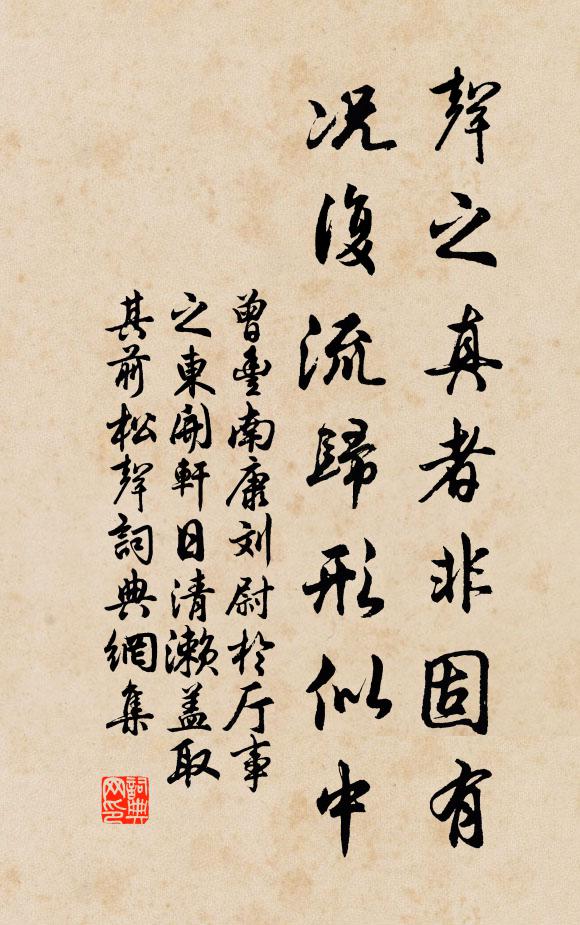 曾丰声之真者非固有，况复流归形似中书法作品欣赏