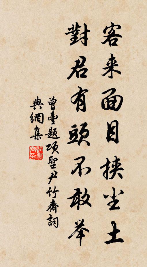 曾丰客来面目挟尘土，对君有头不敢举书法作品欣赏