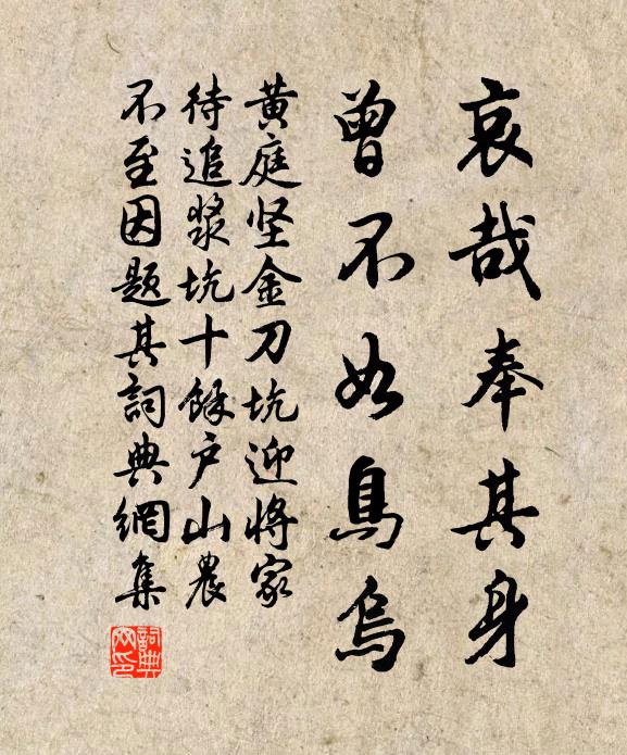 黄庭坚哀哉奉其身，曾不如鸟乌书法作品欣赏