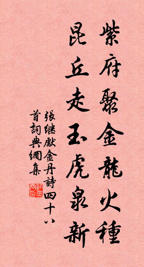 张继先紫府聚金龙火种，昆丘走玉虎泉新书法作品欣赏