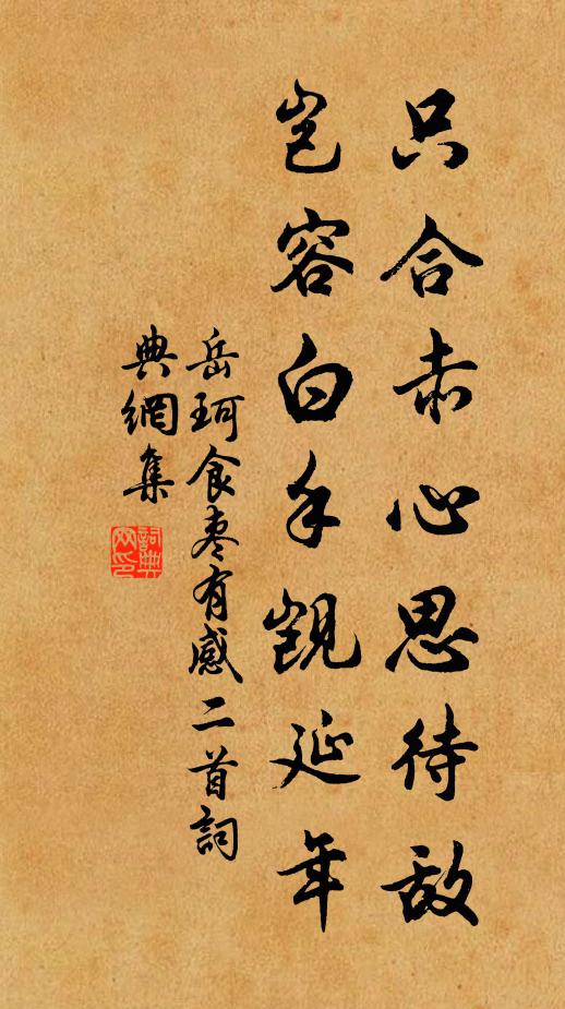 岳珂只合赤心思待敌，岂容白手觊延年书法作品欣赏